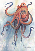 Octopus